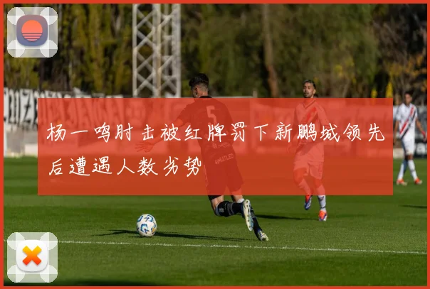 杨一鸣肘击被红牌罚下新鹏城领先后遭遇人数劣势